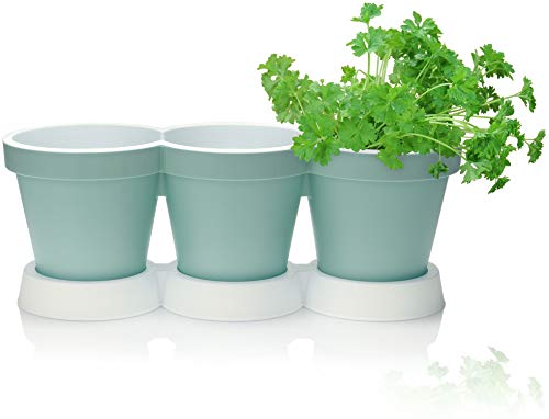 com-four® 3er Kräutertopf mit Untersetzer - Pflanzentopf für Blumen und Kräuter - Deko Blumentopf für Garten, Balkon und Wohnung (Kräutertopf - türkis) von com-four