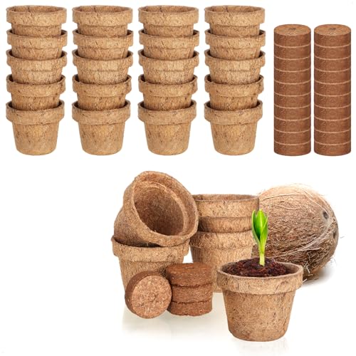 com-four® 40-teiliges Kokosanzucht-Set - biologisch abbaubare Kokosscheiben im Topf - Anzuchthilfe aus 20 Quelltabs und 20 Töpfen - Pflanzschalen aus Kokosfaser - Anzuchtunterstützung für Samen von com-four