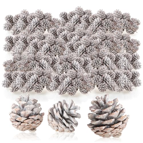 com-four® 480x Tannenzapfen in weiß - Pinienzapfen als Weihnachtsdekoration - Zapfen Deko - Streudeko - Bastel Set - Weihnachtsschmuck (480x weiß) von com-four