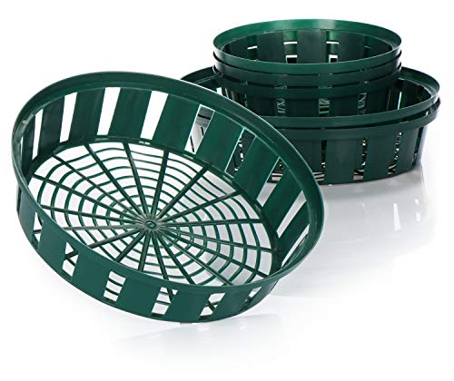 com-four® 6-teiliges Set Pflanzkörbe für Blumenzwiebeln, Anzucht-Pflanzschale zum Einpflanzen und Aufbewahren von Zwiebelpflanzen, grüne Zwiebelkörbe (06teilig Set Pflanzschale - 22cm 31cm) von com-four