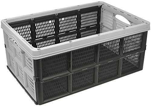 com-four® Klappbox 32l - Transportbox mit Griffen - Stabile Aufbewahrungsbox - Einkaufskorb zusammenklappbar (50.5x33x22cm - 01 Stück - hellgrau) von com-four