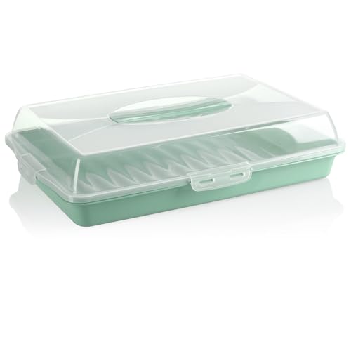 com-four® Kuchenbehälter - Transportbox für Kuchen und Lebensmittel - Aufbewahrungsbehälter mit Deckel und Tragegriff - Serviertablett grün (01 Stück - Design 2 grün) von com-four