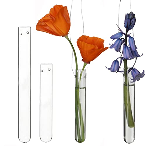 12 Reagenzgläser für Blumen zum hängen, Reagenzglas Vase mit Loch zum aufhängen, Fensterdeko hängend, Hochzeitsdeko, Tulpenvase Glas, Blumen Vasen Deko, Hängevase Glas (15 cm) von comforder