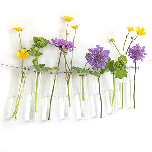 12 reagenzgläser für Blumen zum aufhängen, Reagenzglas Vase mit Rand zum aufhängen, Fensterdeko hängend, Vase Glas, Hochzeitsdeko Blumen (10 cm) von comforder