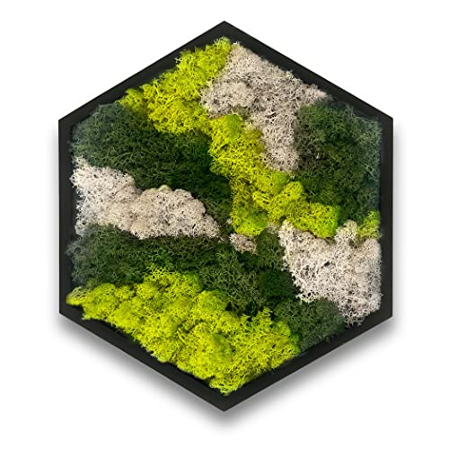 comforder Hexagon Wandbild mit echtem Moos (38 cm), Konserviertes Moosbild mit Holzrahmen, Natur Wanddeko fürs Wohnzimmer von comforder