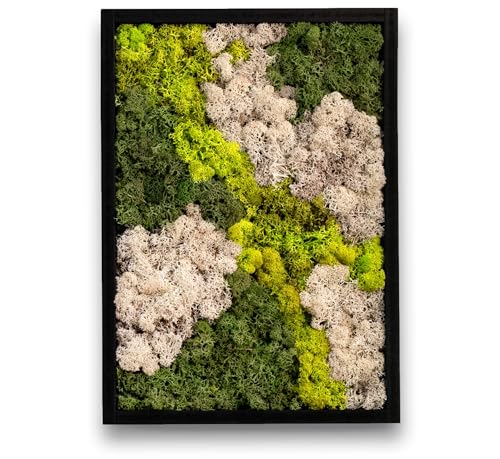 comforder Rechteckiges Wandbild mit echtem Moos (38 cm), Konserviertes Moosbild mit Holzrahmen, Natur Wanddeko fürs Wohnzimmer von comforder