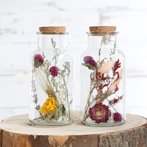 comforder Trockenblumen im Glas mit Korken 2er Set, getrocknete Blumen-Deko in breitem Glas (groß/bunt) von comforder