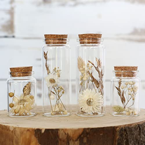 comforder Trockenblumen im Glas mit Korken 4er Set, getrocknete Blumen-Deko in eleganten, schmalen Gläsern (Natur) von comforder