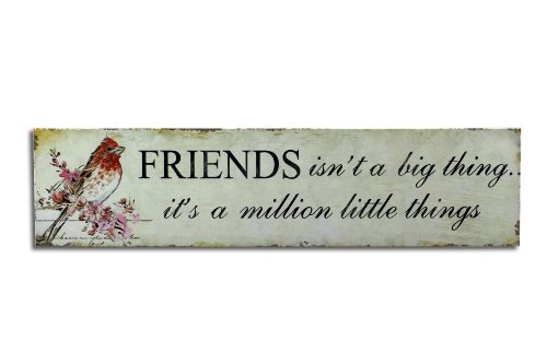 Blech-Schild Friends isnt a big thing Shabby Chic nostalgie Schild Metallschild von condecoro