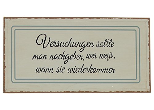 condecoro Schild - Versuchungen sollte man.. - Shabby Chic Blechschild Wandbild in grau von condecoro