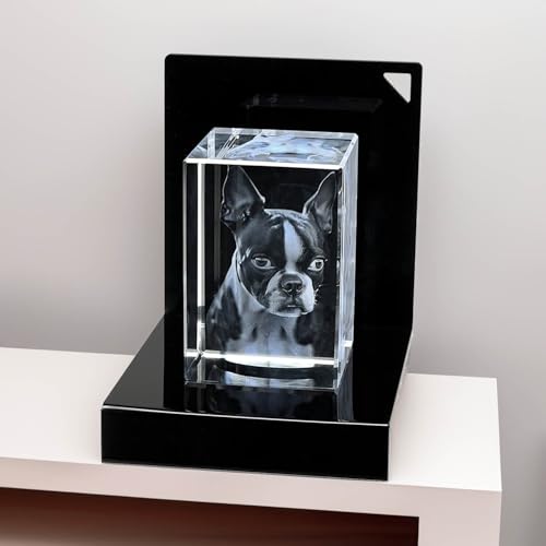contento 3D Glasfoto mit Gravur | Dein Foto in einen exklusiv Glasblock mit Premium LED Sockel | 2 Personen/Tiere | Außergewöhnliche Geschenkidee zu jedem Anlass | Größe S hoch contento 3D Glasfoto mit Gravur | Dein Foto in einen exklusiv Glasblock mit Premium LED Sockel | 2 Personen/Tiere | Außergewöhnliche Geschenkidee zu jedem Anlass | Größe S hoch von contento