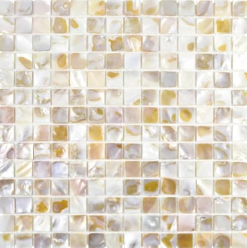 Mosaik Fliese Muschel hellbeige für WAND BAD WC DUSCHE KÜCHE FLIESENSPIEGEL THEKENVERKLEIDUNG BADEWANNENVERKLEIDUNG Mosaikmatte Mosaikplatte von conwire