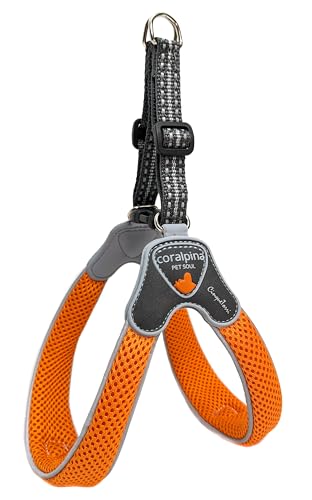 Coralpina - Geschirr Cinquetorri für kleine bis mittelgroße Hunde, weich und atmungsaktiv, schadet dem Fell nicht und behindert die Bewegungen nicht, Farbe gebranntes Orange, Größe 4 von coralpina