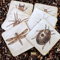 Gravierte Hölzerne Käfer-Untersetzer - 6Er-Set Naturliebhaber Geschenk von cornishwhispers1