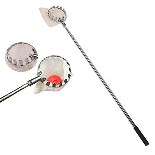 courti Obstpflücker Mit Teleskopstiel, 1.5m Apfelpflücker Obstsammler, Metallpflückkopf Obstfänger, Obstpflückwerkzeug Für Birne, Apfel, Mango, Granatapfel von courti