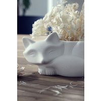 Fuchs Aus Raysin Mit Aufbewahrungsmöglichkeit Fuchs Aus Raysin Mit Aufbewahrungsmöglichkeit von cozyraes