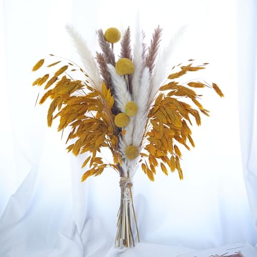 crafity Pampasgras Herbst Deko Trockenblumen Pampasstrauß 44cm Getrocknetes Pampasgras Fall Blumen Deko für Tischdeko Zuhause Whonzimmer Hochzeit von crafity