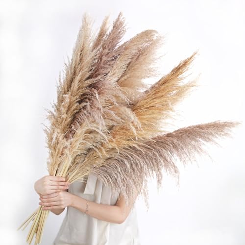 crafity 20 Stück Pampasgras Groß Trockenblumen Braun Pampasgras 90cm Natürliche Pampas Flauschige Getrocknete Blumen Bouquet für Hochzeit Wohnzimmer Schlafzimmer von crafity