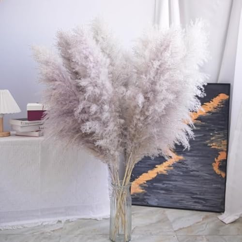 crafity 20 Stück Pampasgras Groß Trockenblumen XXL Pampasgras 90cm Natürliche Pampas Flauschige Getrocknete Blumen Bouquet für Hochzeit Wohnzimmer Schlafzimmer Grau & Beige crafity 20 Stück Pampasgras Groß Trockenblumen XXL Pampasgras 90cm Natürliche Pampas Flauschige Getrocknete Blumen Bouquet für Hochzeit Wohnzimmer Schlafzimmer Grau & Beige von crafity