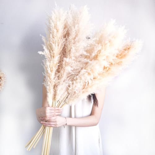crafity 20 Stück Pampasgras Groß Trockenblumen XXL Pampasgras 90cm Natürliche Pampas Flauschige Getrocknete Blumen Bouquet für Hochzeit Wohnzimmer Schlafzimmer Beige und Weiß von crafity