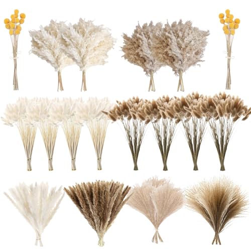 crafity 720pcs Getrocknete Blumen Pampasgras Set Natürliche Trockenblumen Deko mit Bunny Tails Schlifgras Billy Bälle Getrocknet Pampas Deko für Hochzeit Blumenarrangements Zuhause Wohnkultur crafity 720pcs Getrocknete Blumen Pampasgras Set Natürliche Trockenblumen Deko mit Bunny Tails Schlifgras Billy Bälle Getrocknet Pampas Deko für Hochzeit Blumenarrangements Zuhause Wohnkultur von crafity