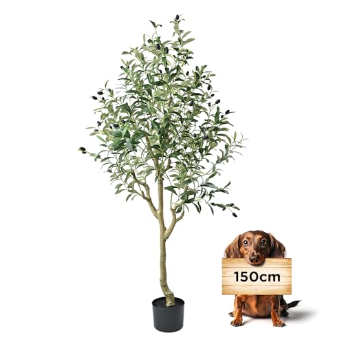 crafity Künstlicher Olivenbaum 150cm Kunstpflanze wie echt Üppig Künstliche Pflanzen Olivenbaum Deko Kunstbaum für Wohnzimmer Schlafzimmer Büro crafity Künstlicher Olivenbaum 150cm Kunstpflanze wie echt Üppig Künstliche Pflanzen Olivenbaum Deko Kunstbaum für Wohnzimmer Schlafzimmer Büro von crafity