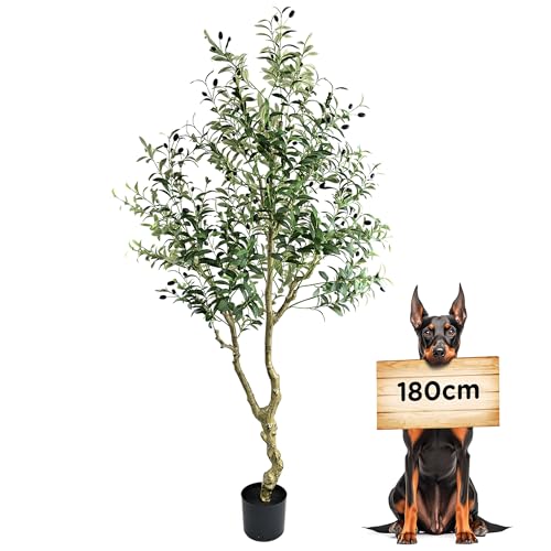 crafity Künstlicher Olivenbaum 180cm Kunstpflanze wie echt Üppig Künstliche Pflanzen Olivenbaum Deko Kunstbaum für Wohnzimmer Schlafzimmer Büro crafity Künstlicher Olivenbaum 180cm Kunstpflanze wie echt Üppig Künstliche Pflanzen Olivenbaum Deko Kunstbaum für Wohnzimmer Schlafzimmer Büro von crafity