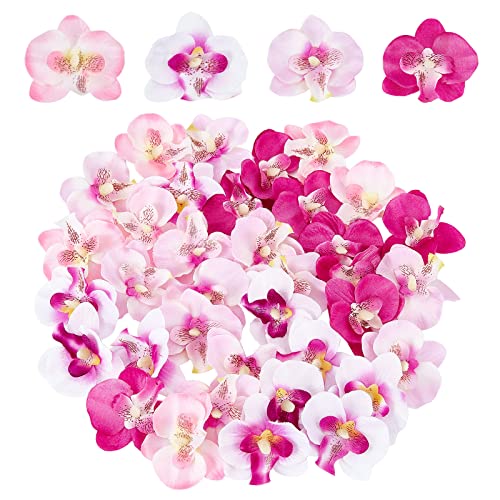 craspire 100 STÜCKE Künstliche Seiden-Phalaenopsis-Blütenköpfe, Schmetterlings-Orchideen-Kopf-Blumenstrauß Für Handwerks-Hochzeits-Dekoration DIY-Herstellung von craspire