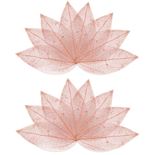 craspire 100 Stück Skelett Blätter Natürlich Ficus Religiosa 4.5-5mm Bräunlich Rot Künstliche Blätter Gummibaum Getrocknete Gepresste Blätter Scrapbooking Karten Hochzeit DIY Basteln Dekoratives von craspire