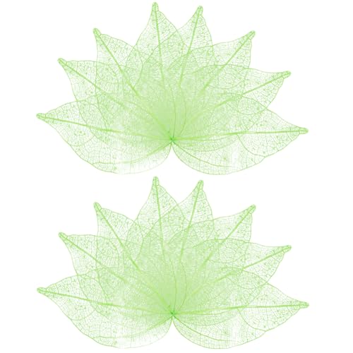 craspire 100 Stück Skelett Blätter Natürliche Ficus Religiosa 4.5-5mm Hellgrün Künstliche Blätter Gummibaum Getrocknete Gepresste Blätter Scrapbooking Karten Hochzeit DIY Basteln Dekoratives von craspire