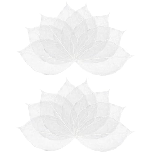 craspire 100 Stück Skelett Blätter Natürliche Ficus Religiosa 4.5-5mm Weiß Künstliche Blätter Gummibaum Getrocknete Gepresste Blätter Scrapbooking Karten Hochzeit DIY Basteln Dekoratives Saisonales von craspire