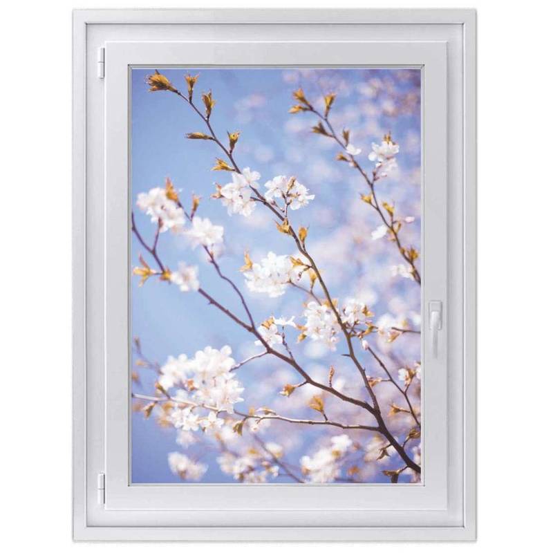Fensterfolie [hoch] - Design: Apple Blossoms 30x40 cm von creatisto