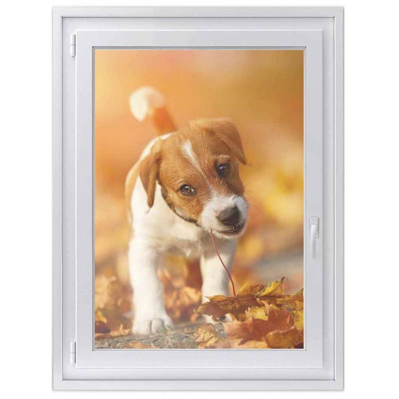 Fensterfolie [hoch] - Design: Jack the Puppy 30x40 cm von creatisto