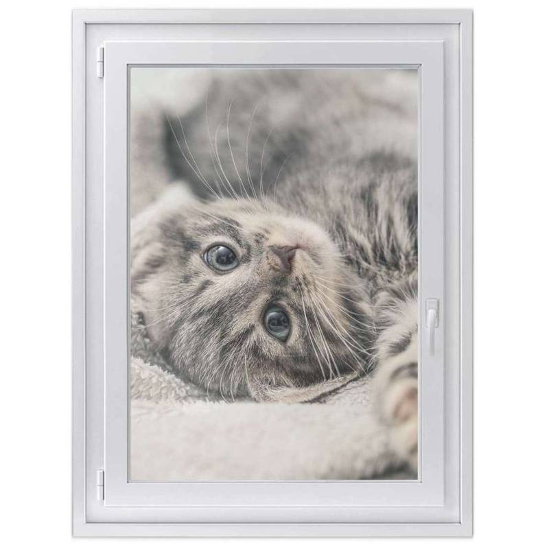 Fensterfolie [hoch] - Design: Kitty the Cat 70x100 cm von creatisto
