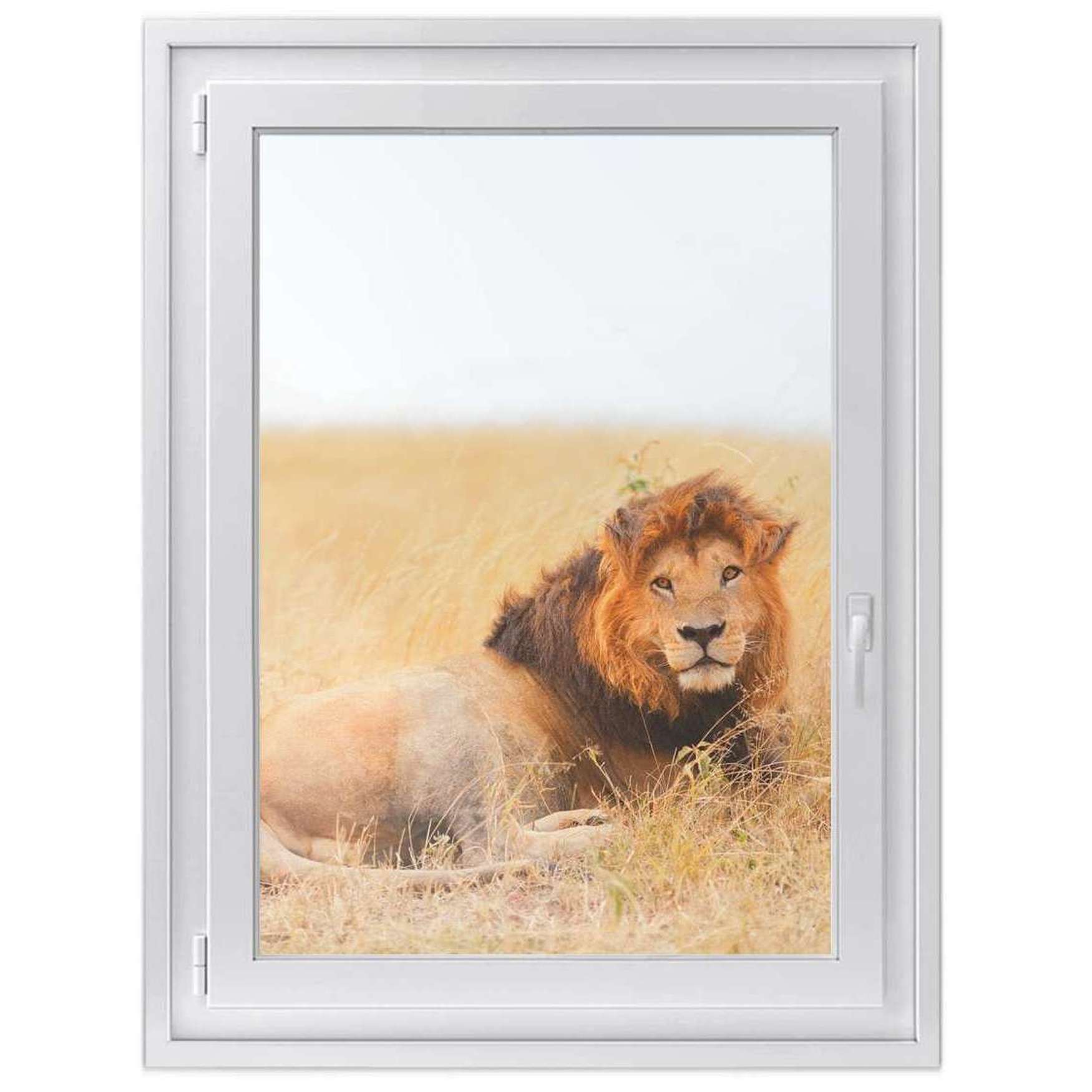 Fensterfolie [hoch] - Design: Lion King 50x70 cm von creatisto