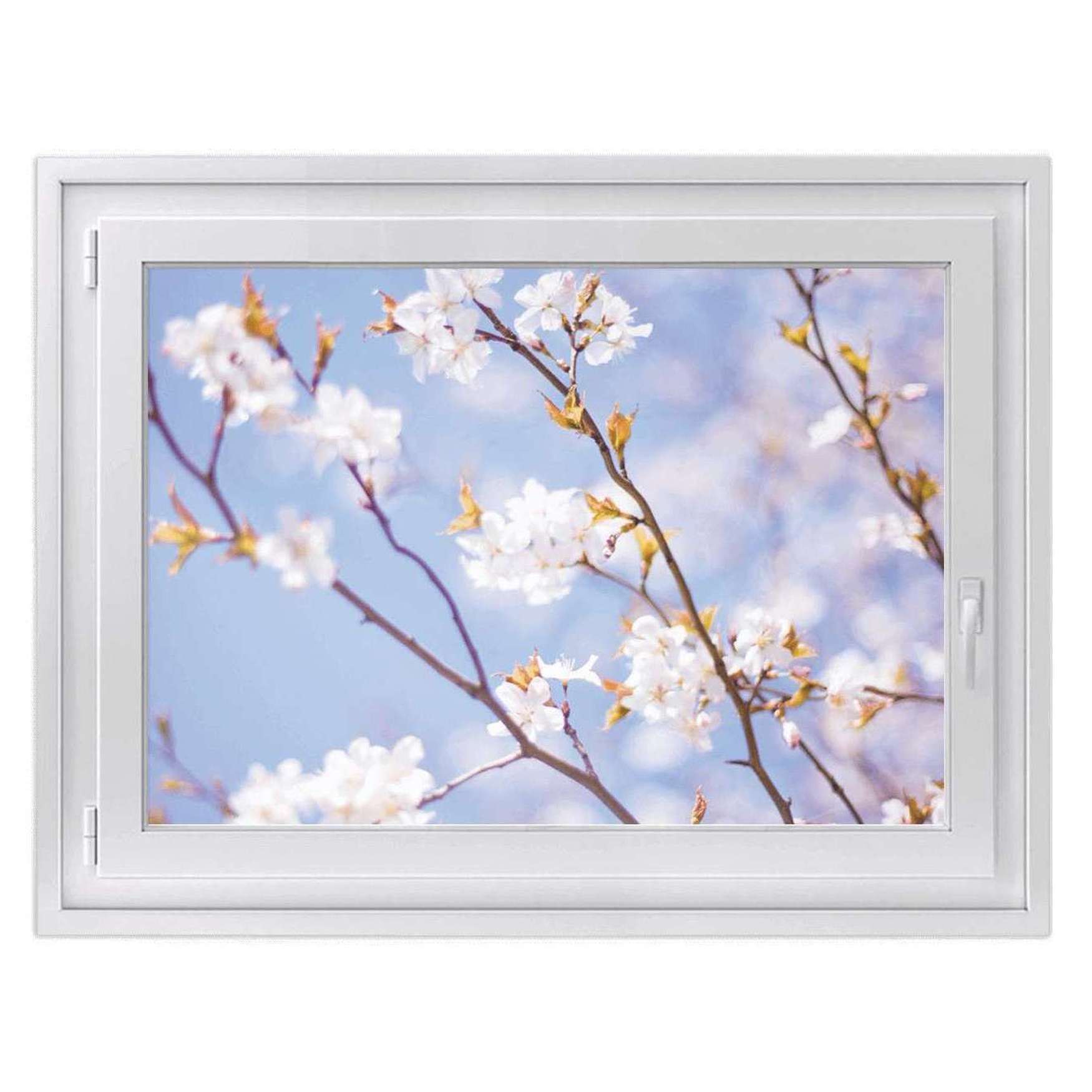 Fensterfolie [quer] - Design: Apple Blossoms 50x40 cm von creatisto