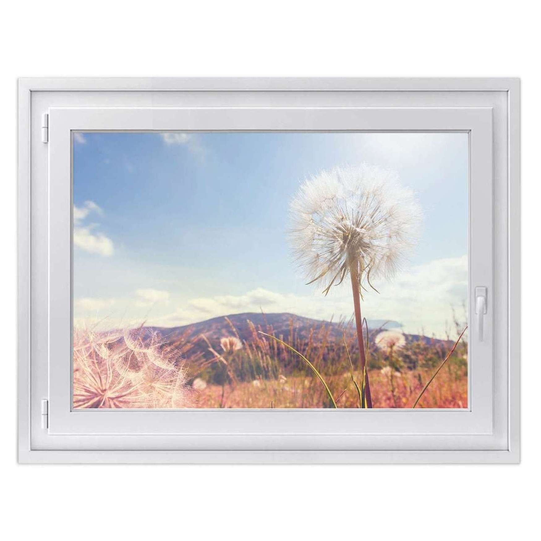 Fensterfolie [quer] - Design: Dandelion 100x70 cm von creatisto