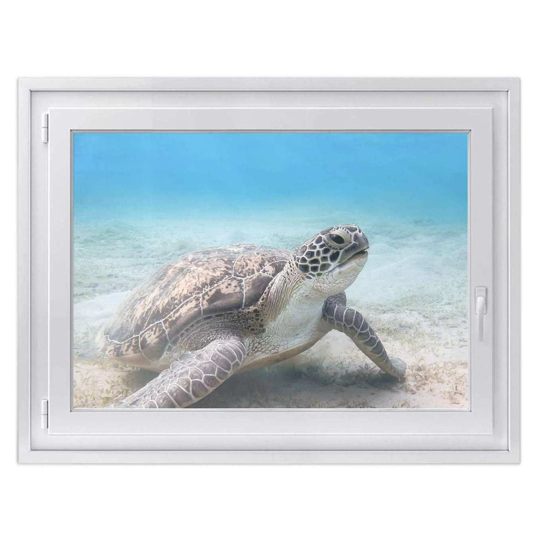 Fensterfolie [quer] - Design: Green Sea Turtle 50x40 cm von creatisto