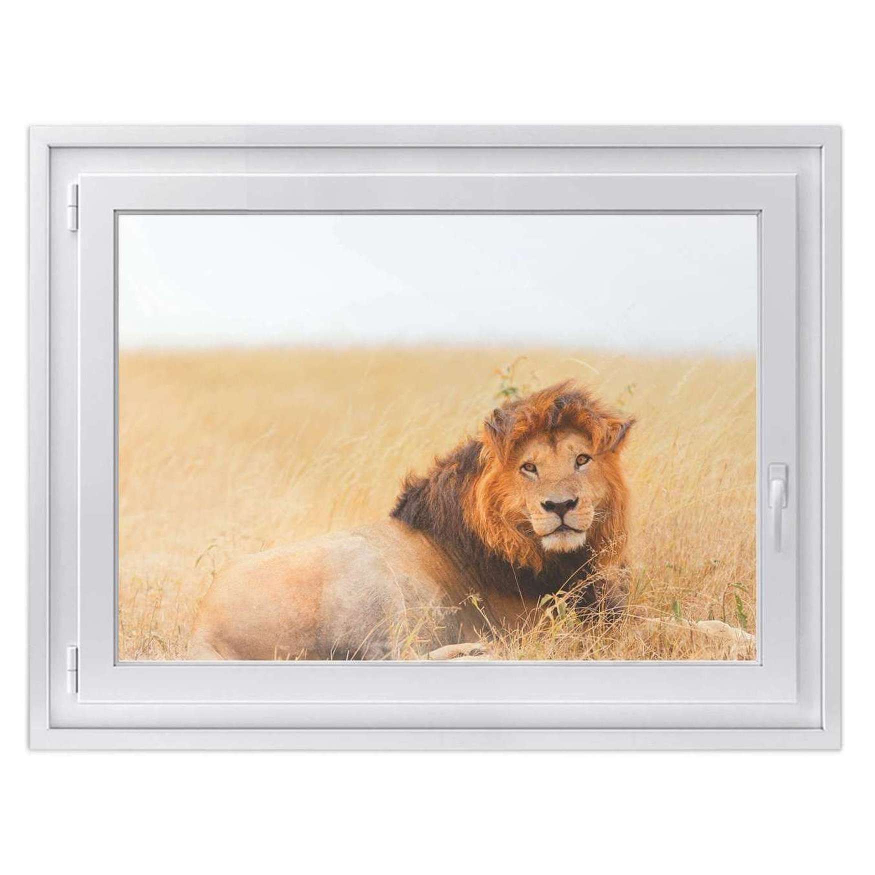 Fensterfolie [quer] - Design: Lion King 50x40 cm von creatisto