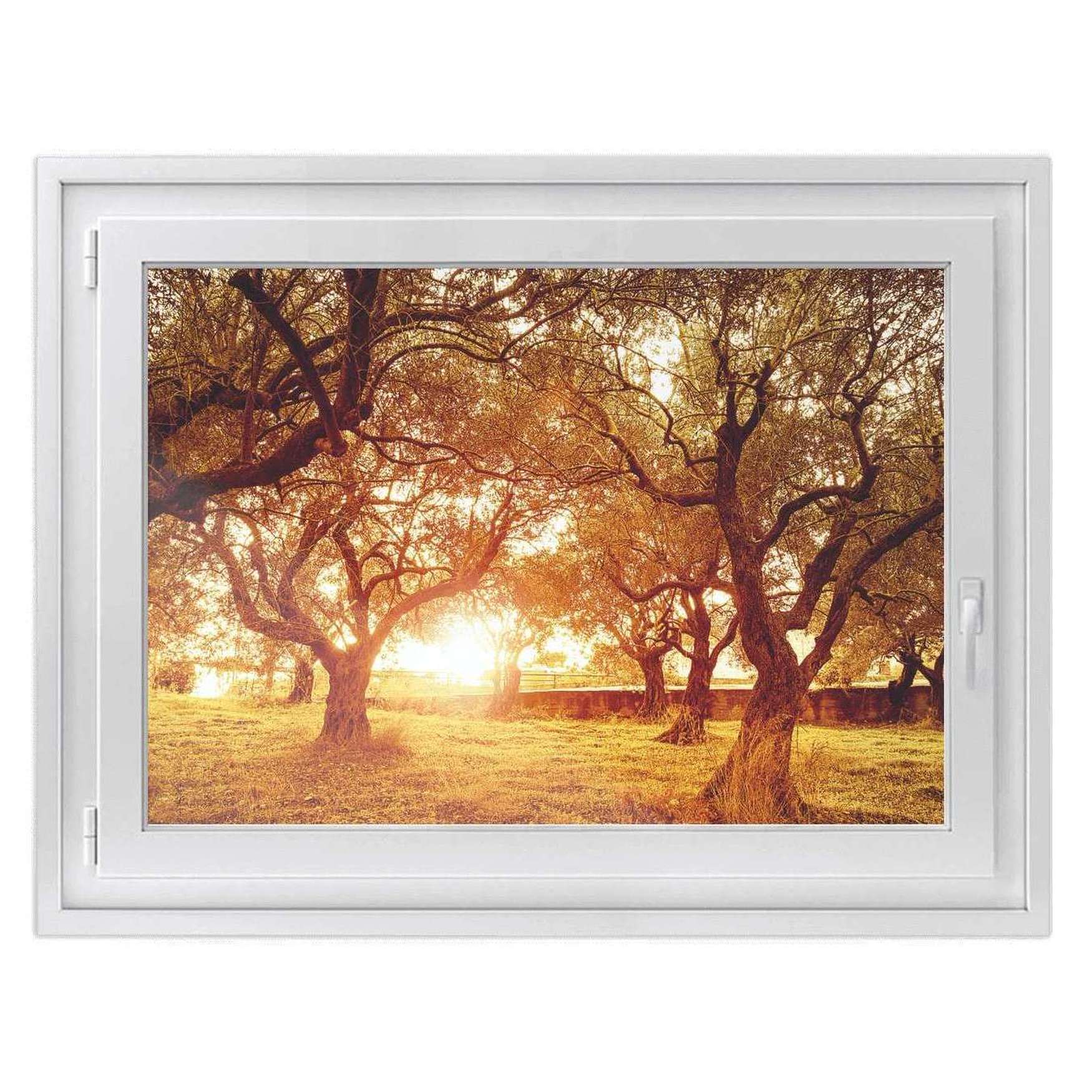 Fensterfolie [quer] - Design: Tree Sunlight 120x90 cm von creatisto