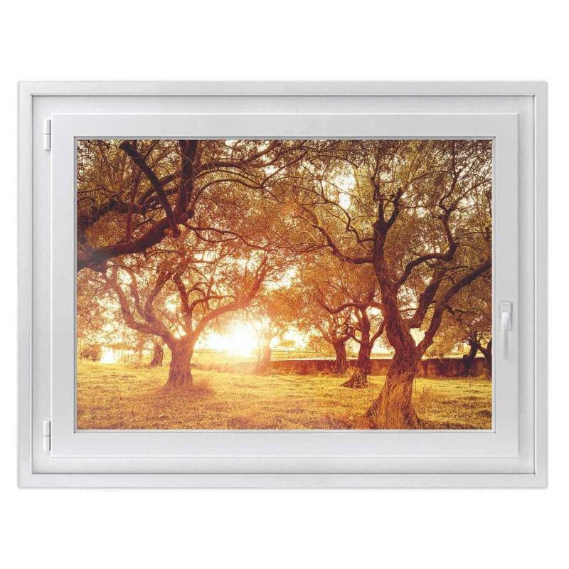 Fensterfolie [quer] - Design: Tree Sunlight 120x90 cm von creatisto