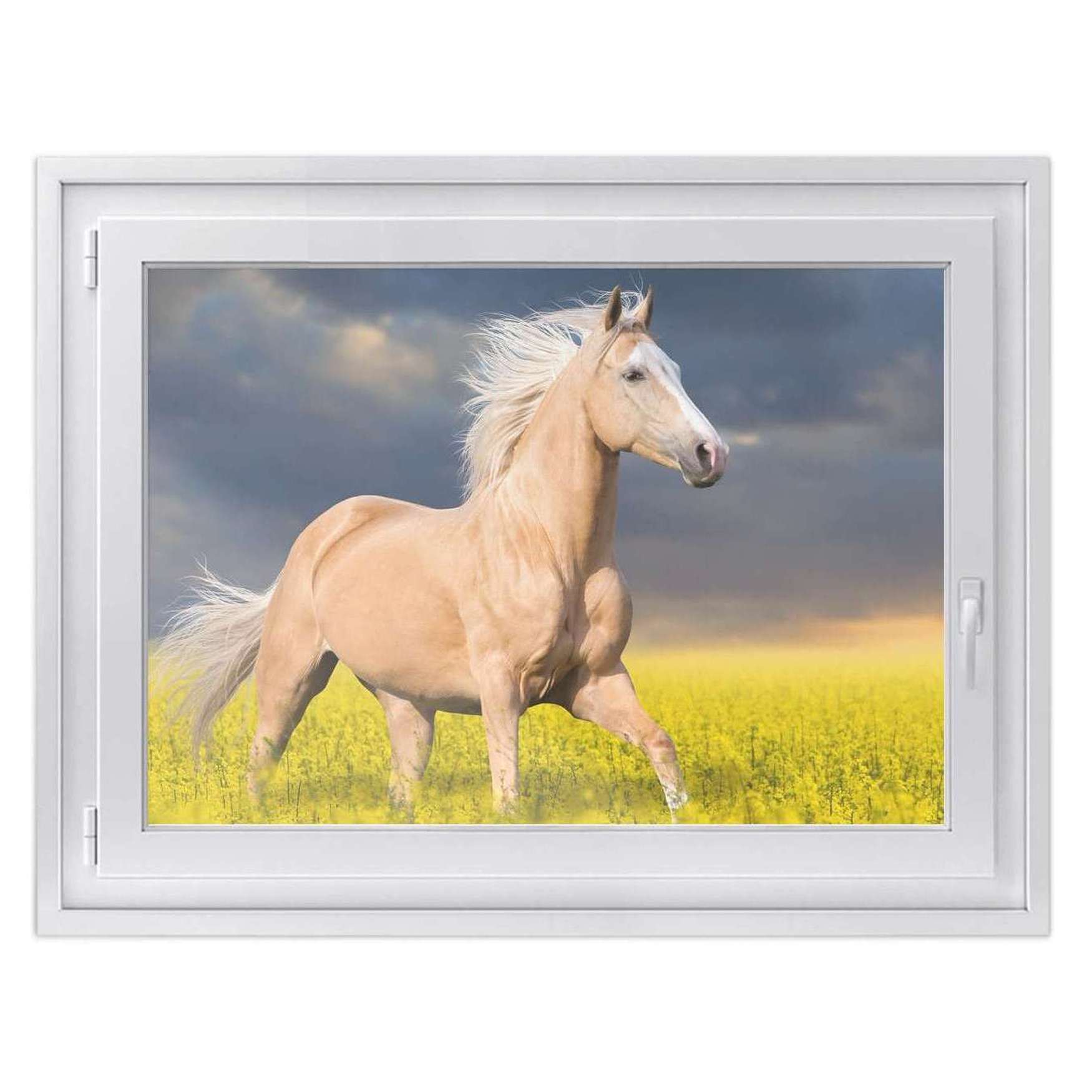 Fensterfolie [quer] - Design: Wildpferd 40x30 cm von creatisto