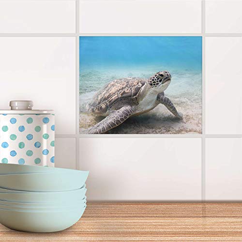 Fliesenbild für Bad und Küche I Fliesen Aufkleber Folie selbstklebend I Fliesen renovieren - Fliesenmotiv für Küchen- und Badfliesen I Design: Green Sea Turtle von creatisto