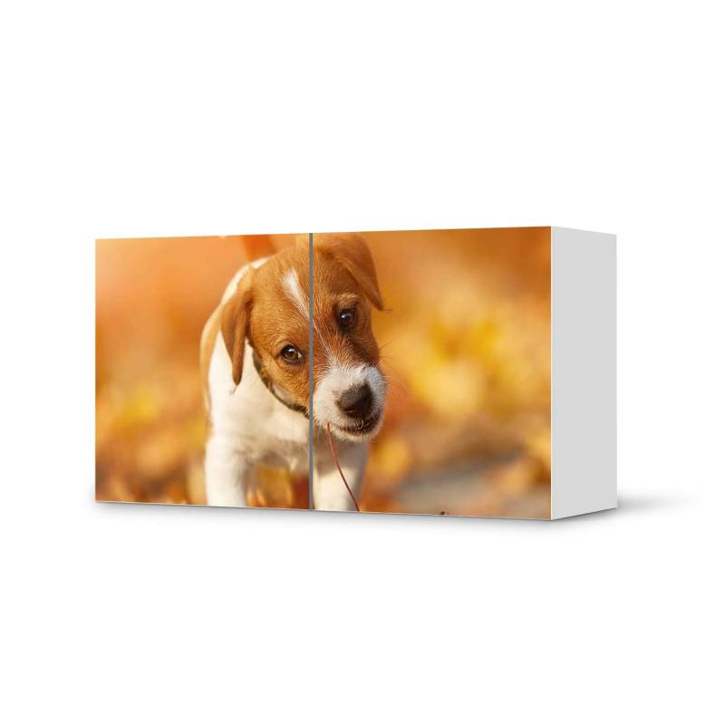 Folie f?r M?bel IKEA Besta Regal 2 T?ren (quer) - Design: Jack the Puppy von creatisto