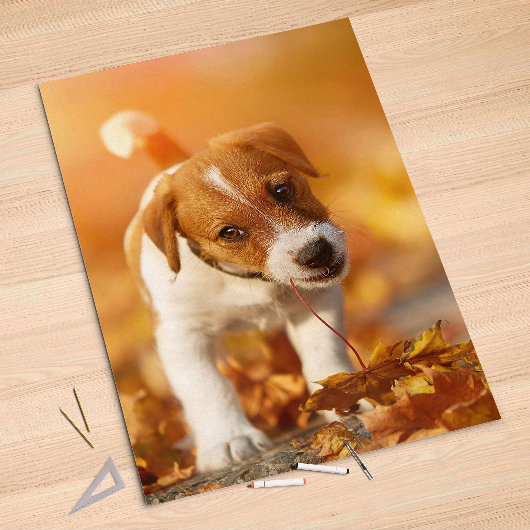 Folienbogen (100x150 cm) - Design: Jack the Puppy von creatisto