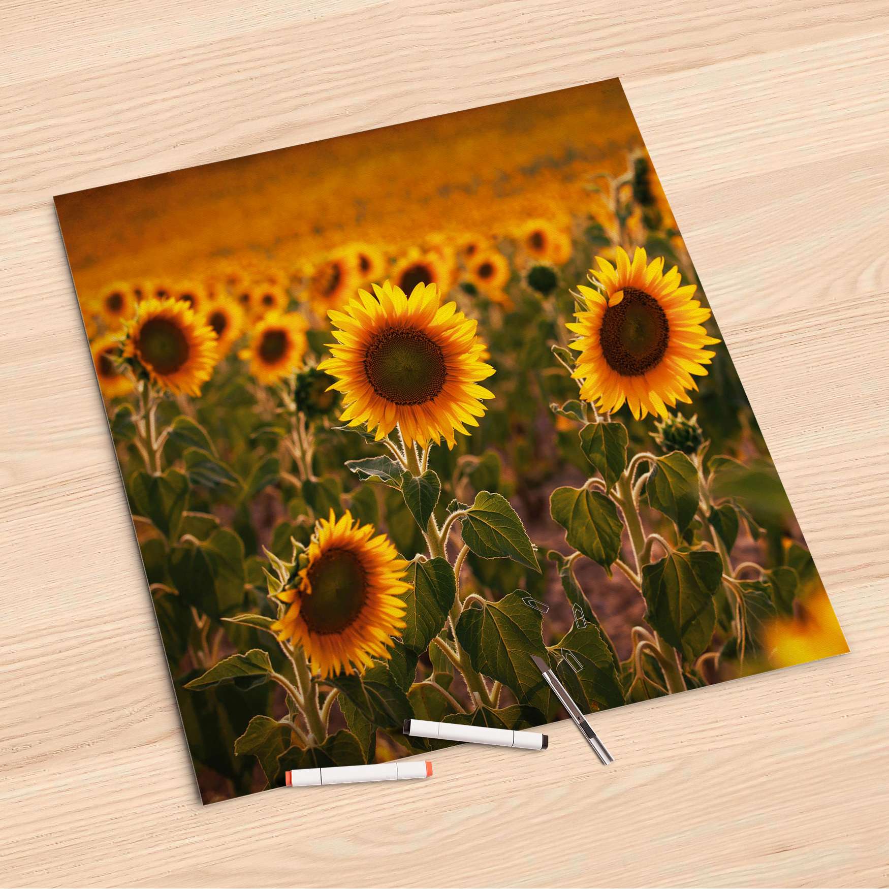 Folienbogen (60x60 cm) - Design: Sunflowers von creatisto