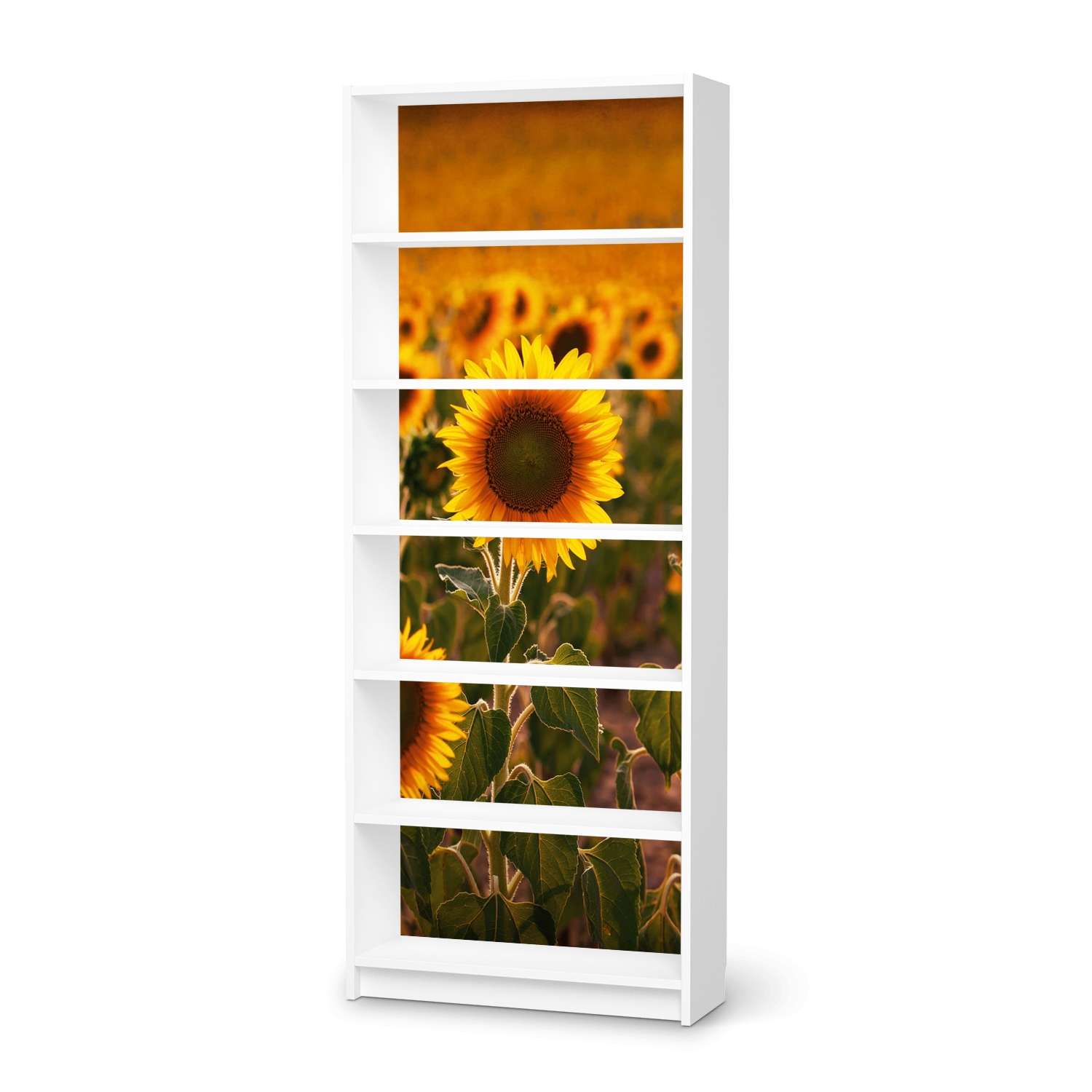 Klebefolie IKEA Billy Regal 6 Fächer - Design: Sunflowers von creatisto