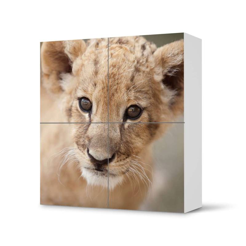 Klebefolie f?r Schr?nke IKEA Besta Schrank 4 T?ren - Design: Simba von creatisto