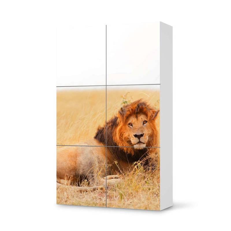 M?bel Klebefolie IKEA Besta Schrank 6 T?ren (hoch) - Design: Lion King von creatisto