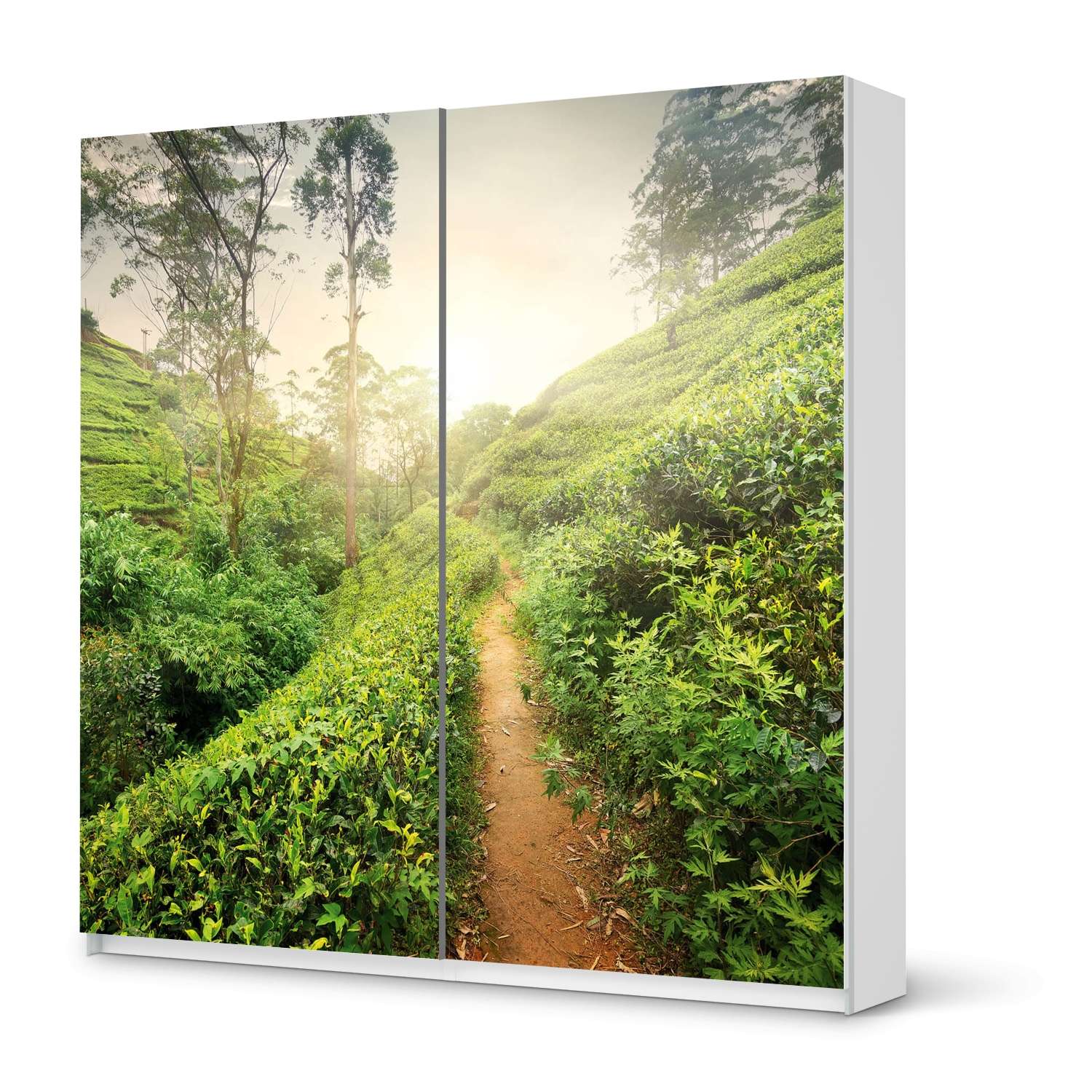 M?bel Klebefolie IKEA Pax Schrank 201 cm H?he - Schiebet?r - Design: Green Tea Fields M?bel Klebefolie IKEA Pax Schrank 201 cm H?he - Schiebet?r - Design: Green Tea Fields von creatisto